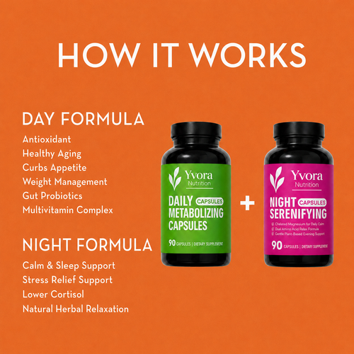 Day + Night System Bundle