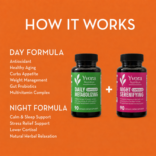 Day + Night System Bundle