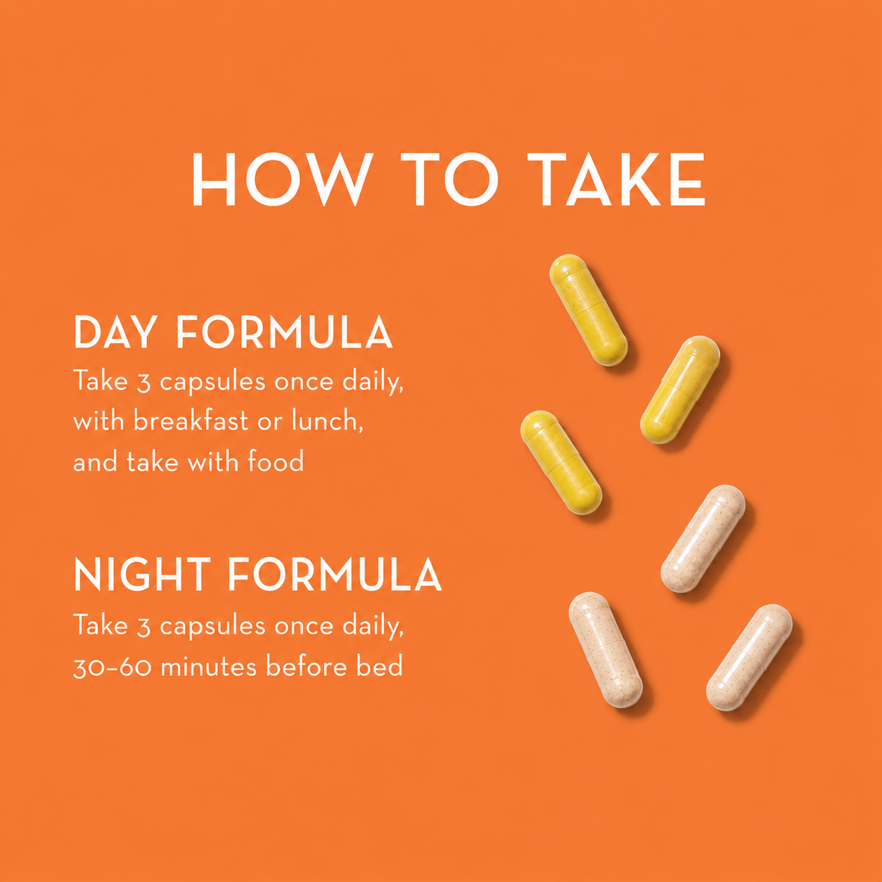 Day + Night System Bundle